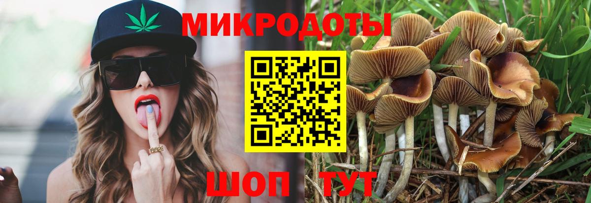 Дедовск  Псилоцибиновые грибы Magic Shrooms  Вход с VPN  как найти закладки  Галлюциногенные грибы Cubensis 