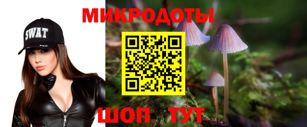 Галлюциногенные грибы GOLDEN TEACHER Дедовск